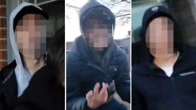 Tre tonåringar döms – tvingade offret äta hundbajs